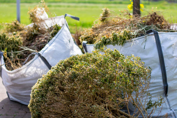 Best Dumpster Rental Services  in Devola, OH